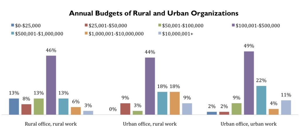 Nonprofit Leadership in the Rural Southeast