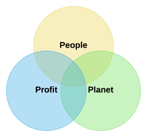 What is a Social Enterprise?